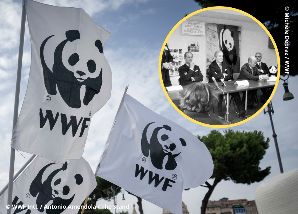 wwf-celebrates-60-years-of-action-for-people-and-nature